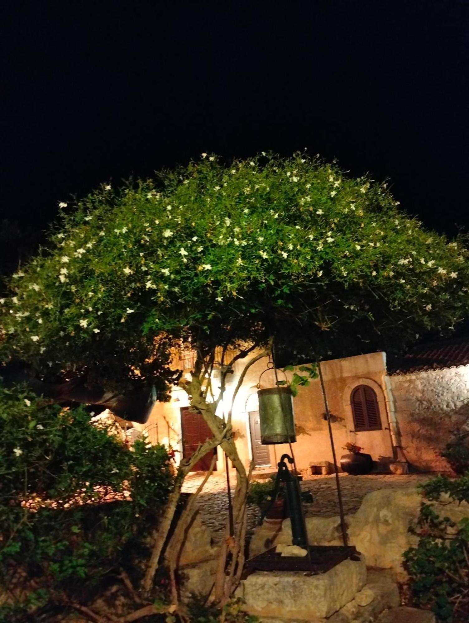 I Dammusi Villa Santa Croce Camerina Exterior photo